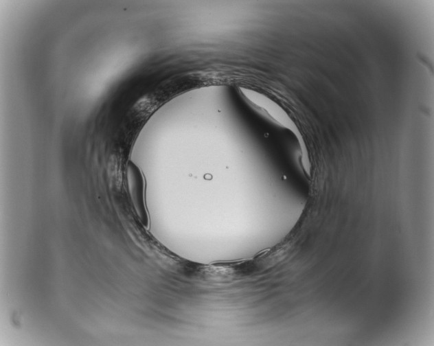 X0000099510429200806051151