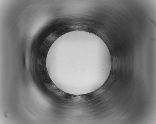 X0000099510430200806051151