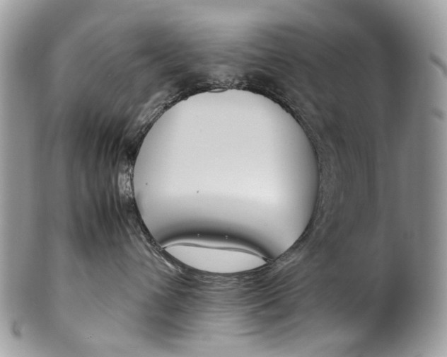 X0000099510432200806051151