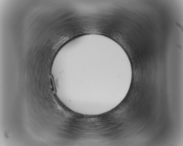 X0000099510433200806051150