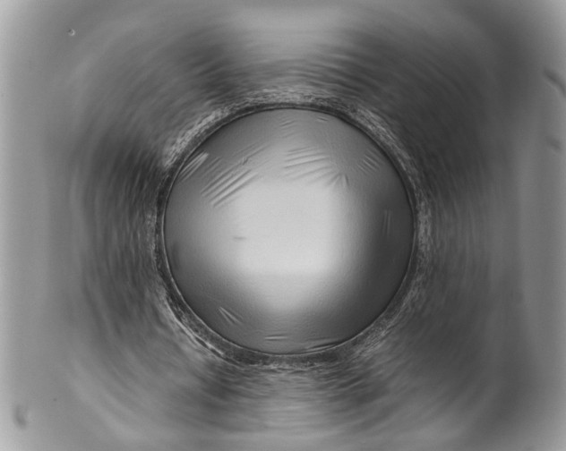 X0000099510434200806051150