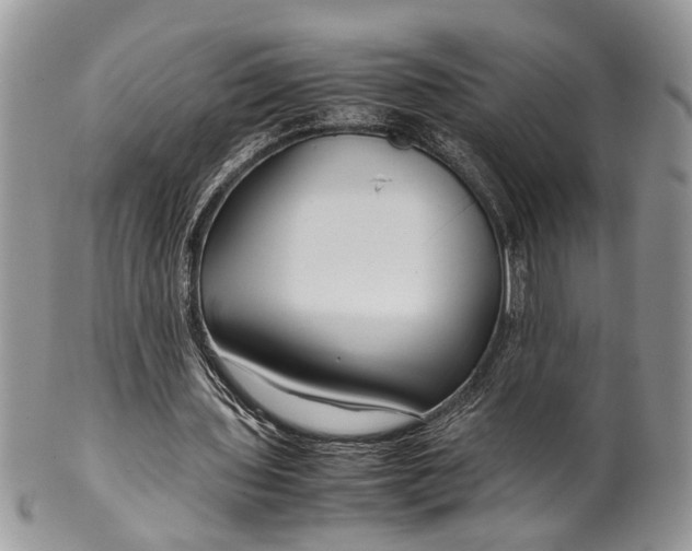 X0000099510435200806051150