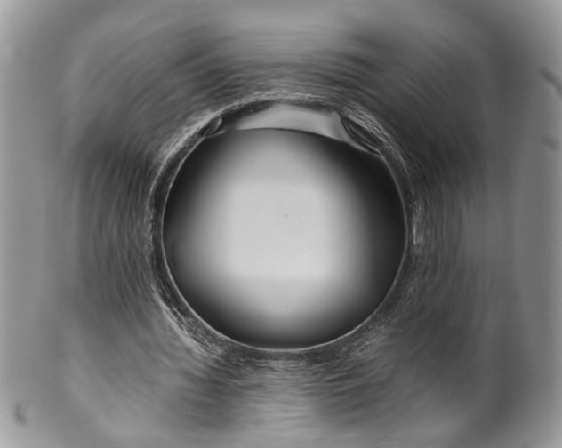 X0000099510436200806051150