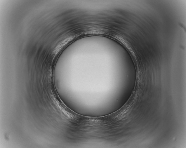 X0000099510437200806051151