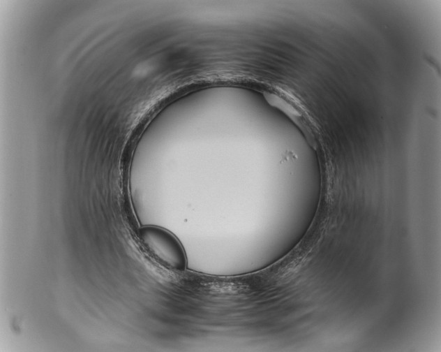 X0000099510439200806051151