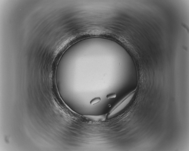 X0000099510440200806051151