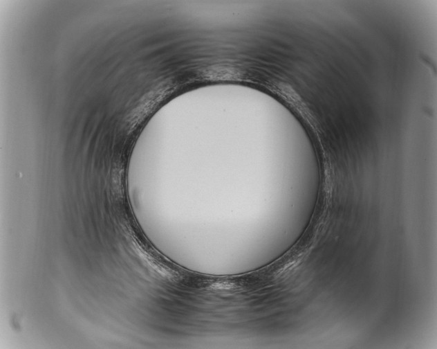 X0000099510441200806051151