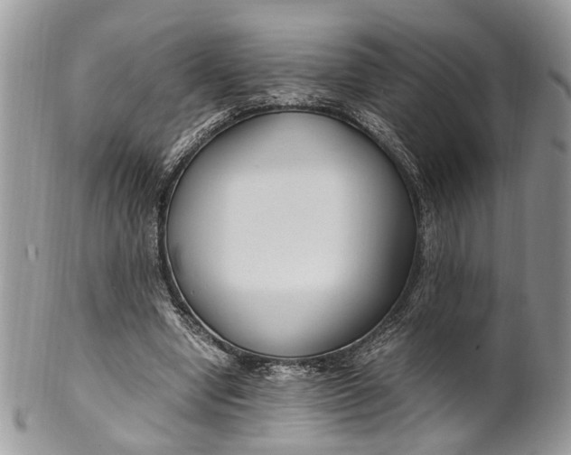 X0000099510442200806051151