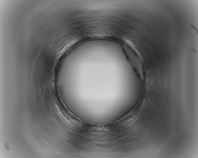 X0000099510443200806051151