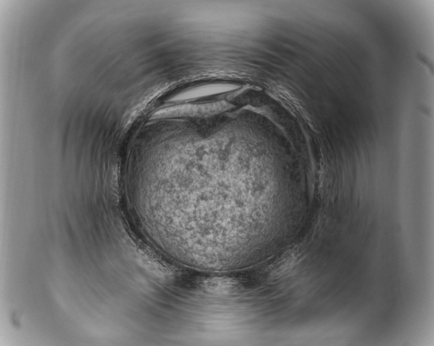 X0000099510444200806051151