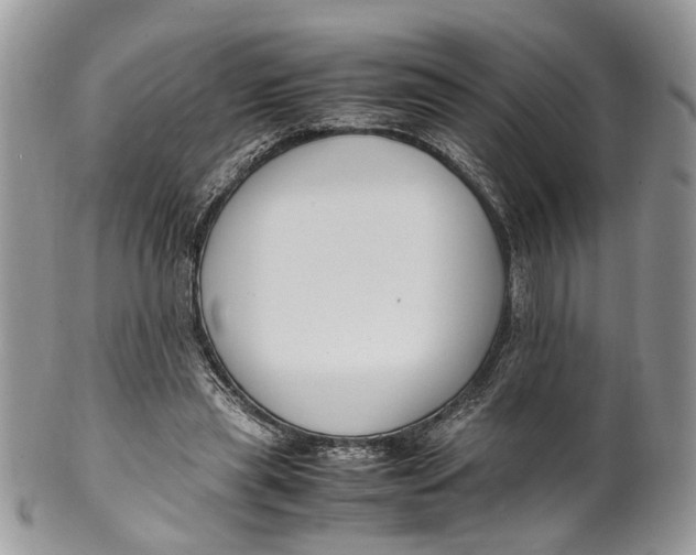 X0000099510445200806051151