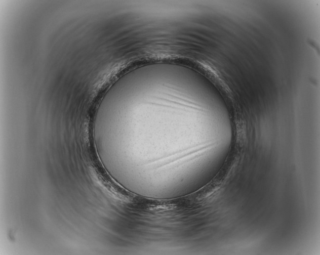 X0000099510447200806051151