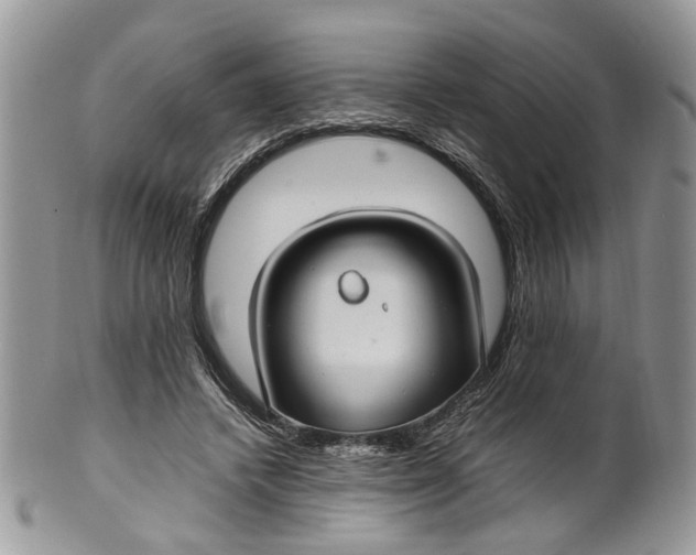 X0000099510448200806051151