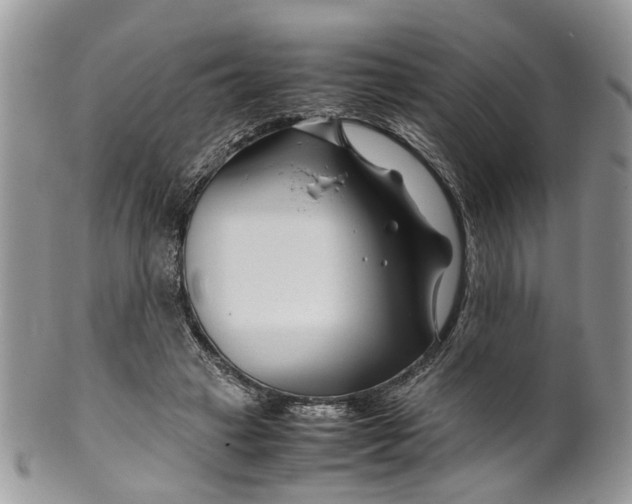 X0000099510449200806051151