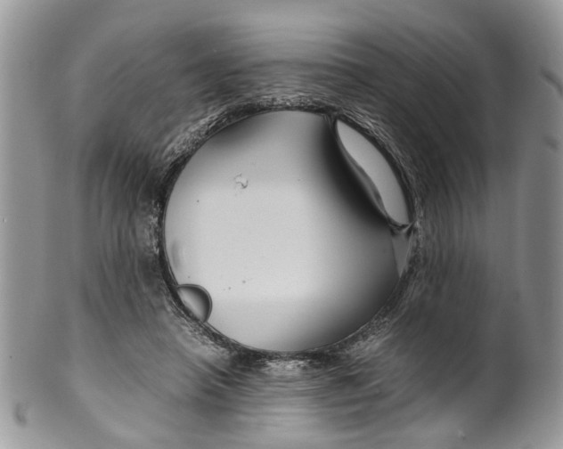 X0000099510450200806051151