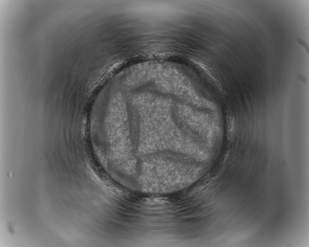 X0000099510451200806051151