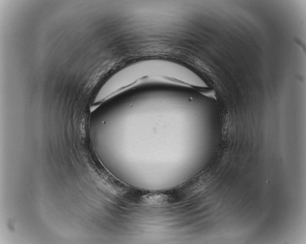 X0000099510452200806051151