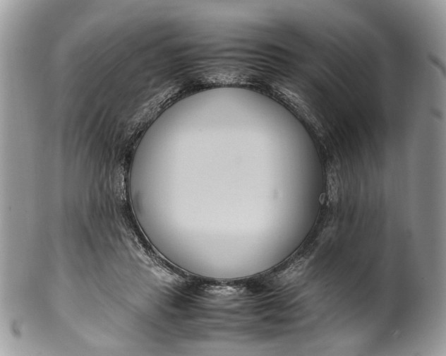 X0000099510453200806051151