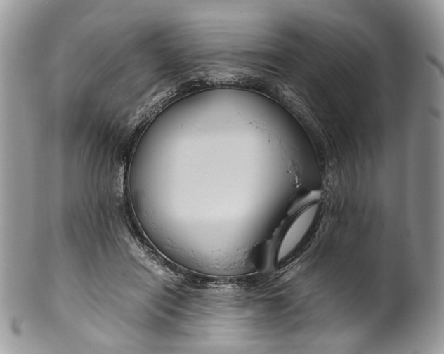 X0000099510454200806051151