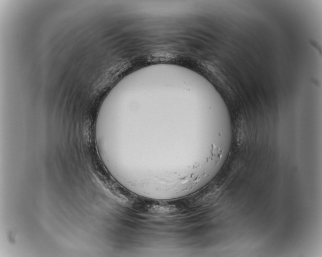 X0000099510455200806051151