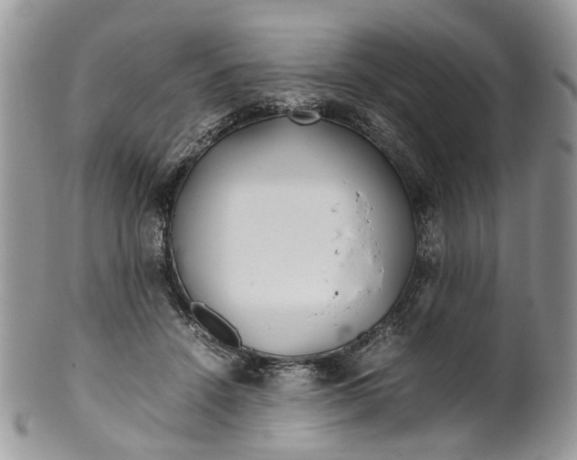 X0000099510456200806051151