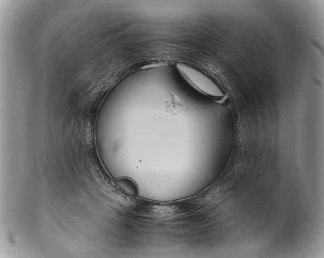 X0000099510457200806051151