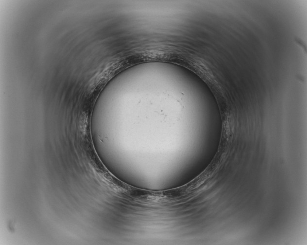 X0000099510458200806051151