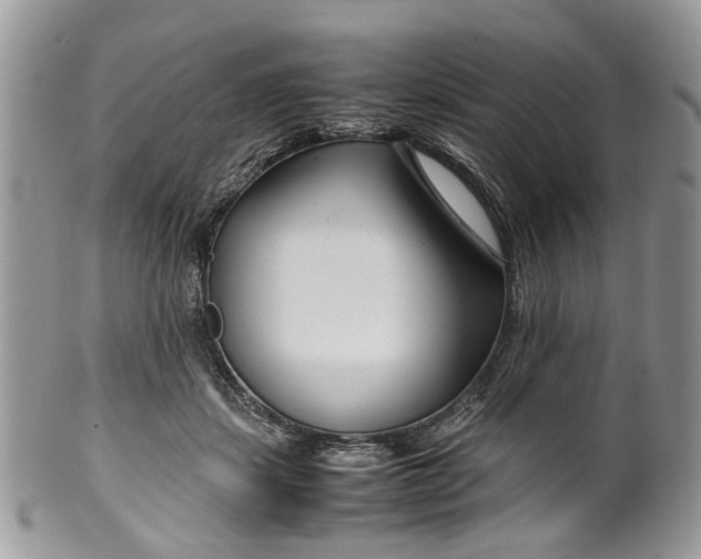 X0000099510459200806051151