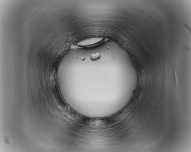 X0000099510460200806051151