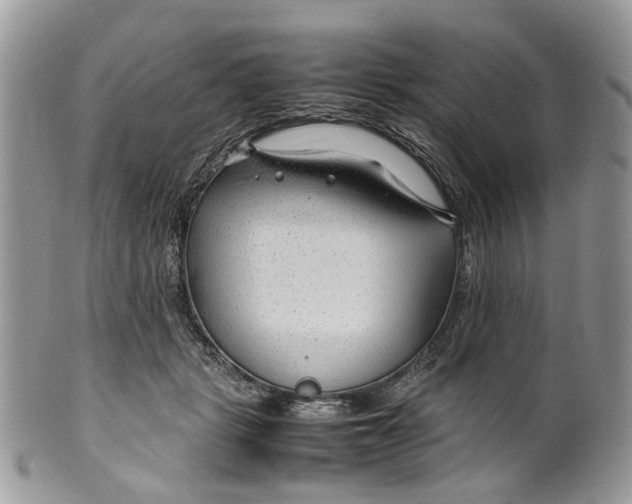 X0000099510461200806051151