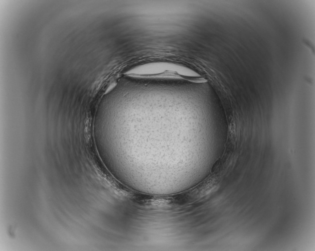 X0000099510462200806051151