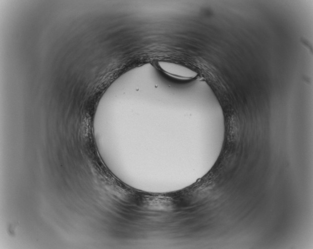 X0000099510463200806051151