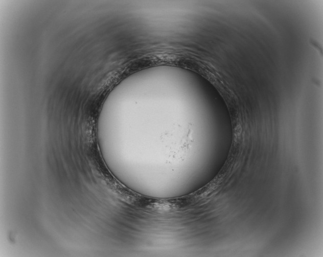 X0000099510464200806051151