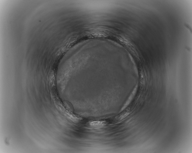 X0000099510465200806051151