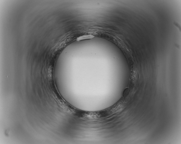 X0000099510466200806051151