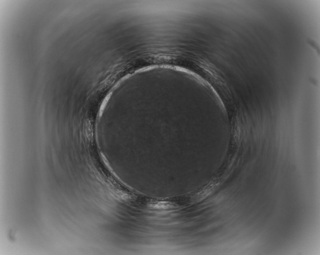 X0000099510467200806051151