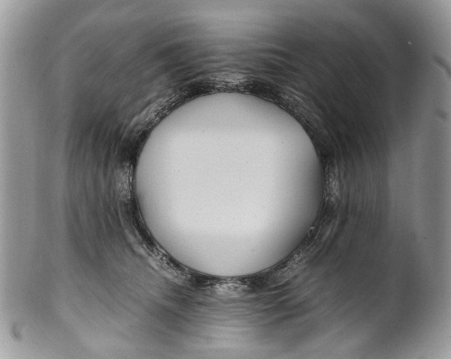 X0000099510468200806051151