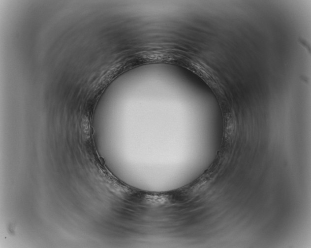 X0000099510469200806051151