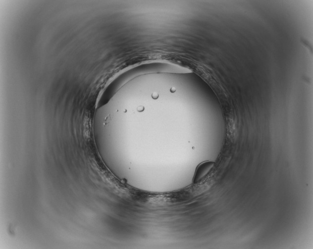 X0000099510470200806051151