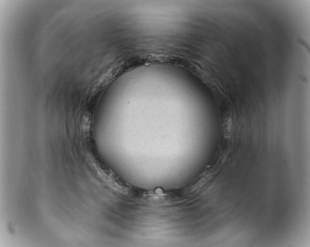 X0000099510472200806051151