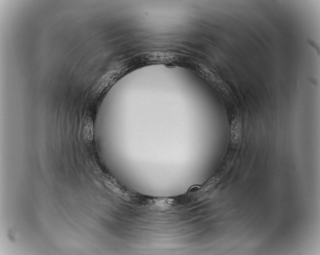 X0000099510474200806051151