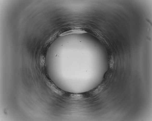 X0000099510476200806051151