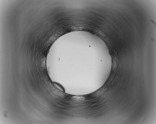 X0000099510477200806051151