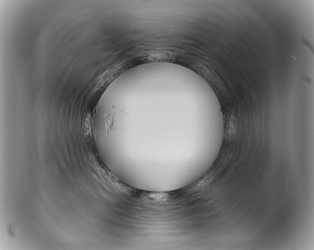 X0000099510478200806051151