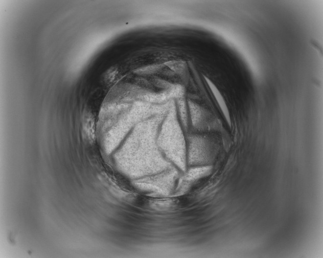 X0000099510479200806051151