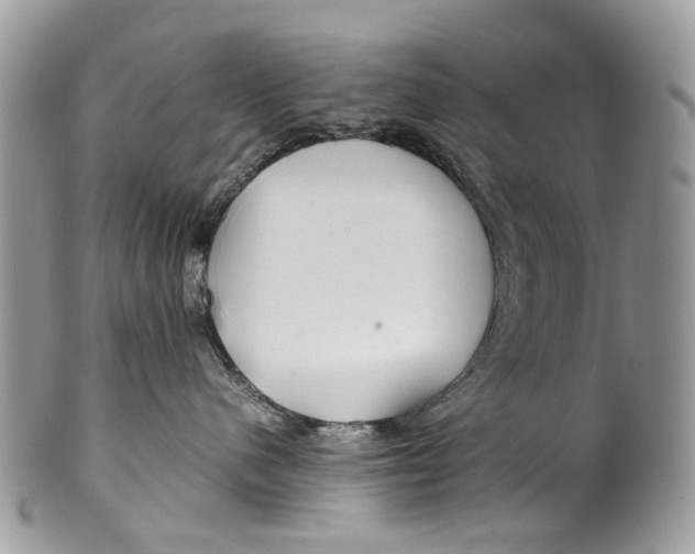 X0000099510480200806051151