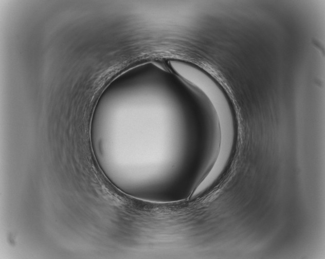 X0000099510481200806051150