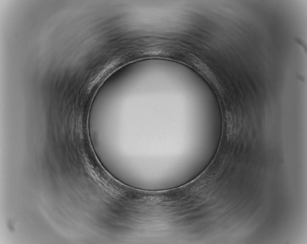 X0000099510482200806051150