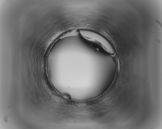 X0000099510483200806051150