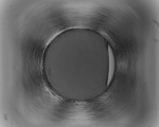 X0000099510484200806051150